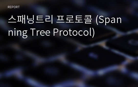 스패닝트리 프로토콜 (Spanning Tree Protocol)