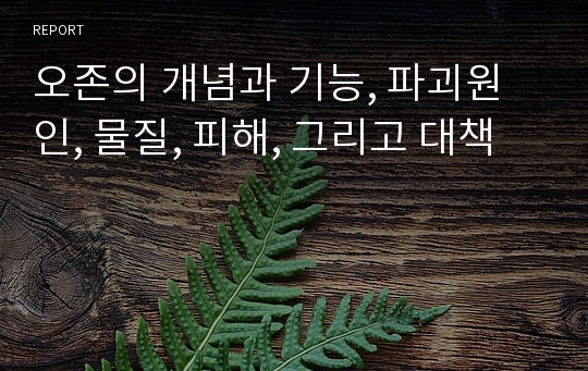 오존의 개념과 기능, 파괴원인, 물질, 피해, 그리고 대책