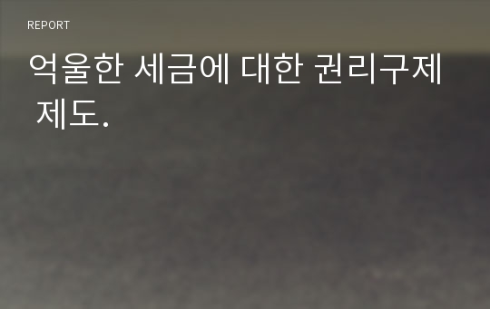 억울한 세금에 대한 권리구제 제도.