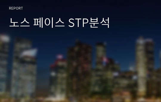 노스 페이스 STP분석