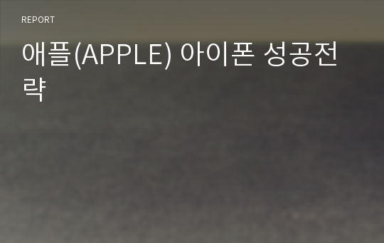 애플(APPLE) 아이폰 성공전략