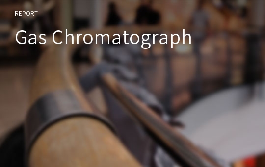 Gas Chromatograph