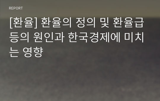 [환율] 환율의 정의 및 환율급등의 원인과 한국경제에 미치는 영향