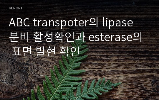 ABC transpoter의 lipase 분비 활성확인과 esterase의 표면 발현 확인