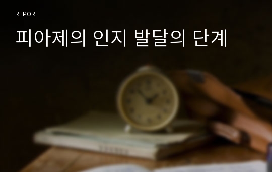 피아제의 인지 발달의 단계