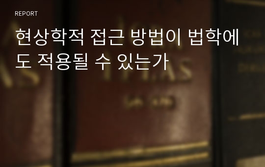 현상학적 접근 방법이 법학에도 적용될 수 있는가