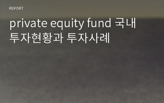 private equity fund 국내 투자현황과 투자사례
