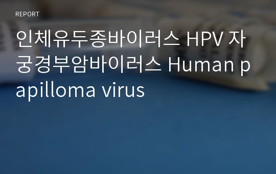 인체유두종바이러스 HPV 자궁경부암바이러스 Human papilloma virus