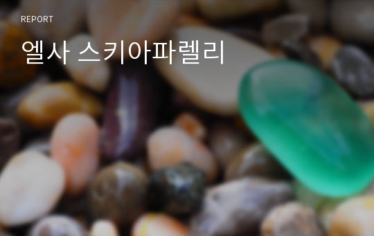 엘사 스키아파렐리