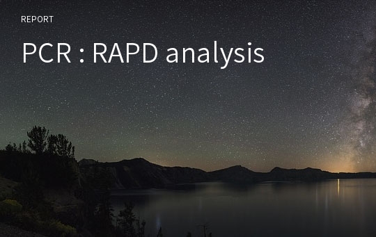 PCR : RAPD analysis