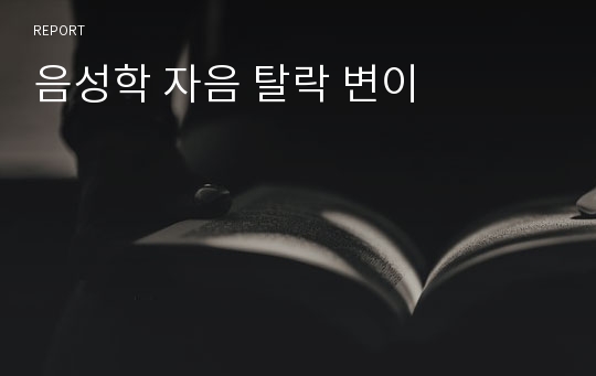 음성학 자음 탈락 변이