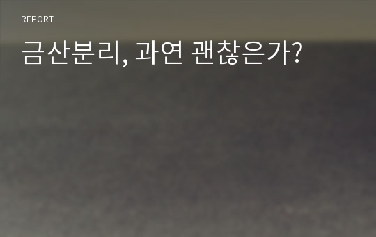 금산분리, 과연 괜찮은가?