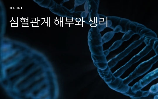 심혈관계 해부와 생리