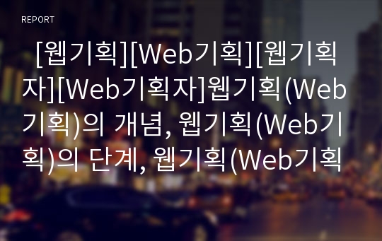   [웹기획][Web기획][웹기획자][Web기획자]웹기획(Web기획)의 개념, 웹기획(Web기획)의 단계, 웹기획(Web기획)의 올바른 방향, 웹기획(Web기획)시 고려사항, 웹기획자(Web기획자)의 필수 자질 분석(웹기획, Web기획)