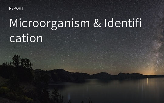 Microorganism &amp; Identification