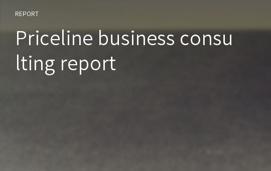 Priceline business consulting report