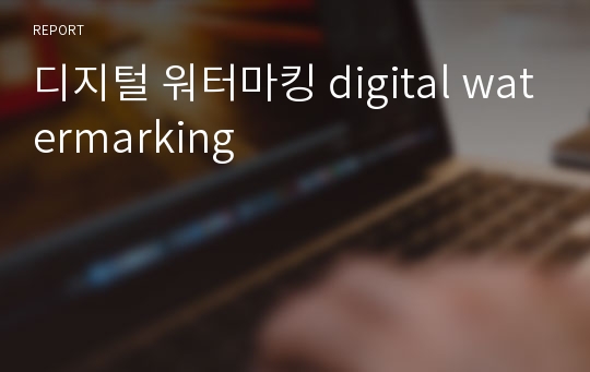 디지털 워터마킹 digital watermarking