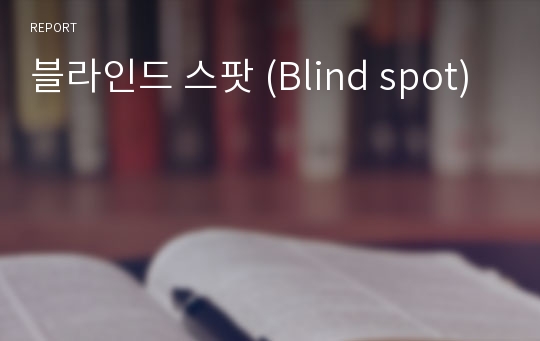 블라인드 스팟 (Blind spot)