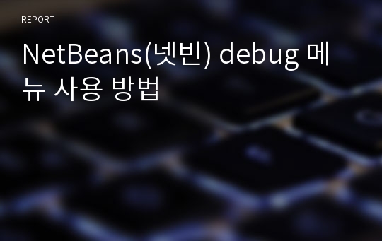 NetBeans(넷빈) debug 메뉴 사용 방법