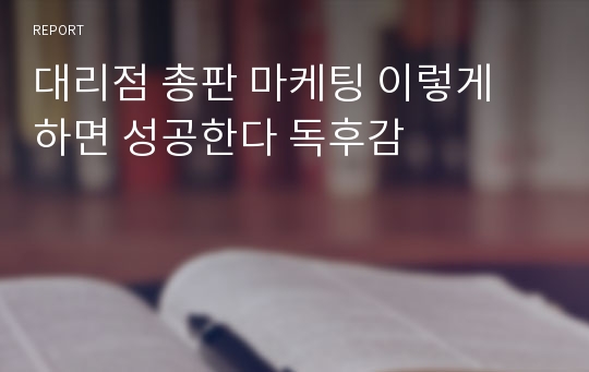 대리점 총판 마케팅 이렇게 하면 성공한다 독후감