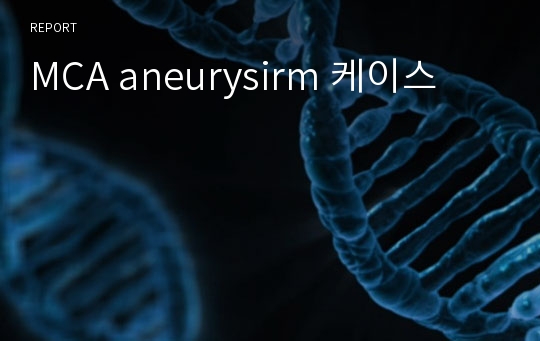 MCA aneurysirm 케이스