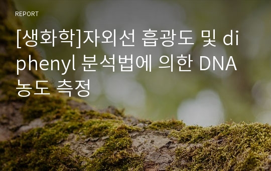 [생화학]자외선 흡광도 및 diphenyl 분석법에 의한 DNA 농도 측정