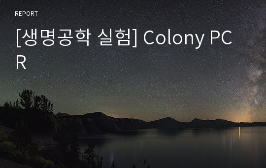 [생명공학 실험] Colony PCR