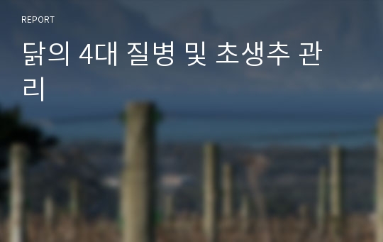 닭의 4대 질병 및 초생추 관리