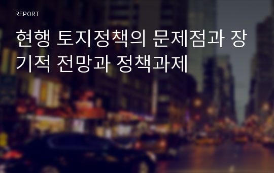 현행 토지정책의 문제점과 장기적 전망과 정책과제