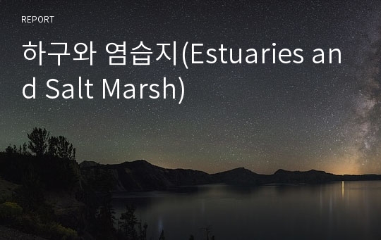 하구와 염습지(Estuaries and Salt Marsh)