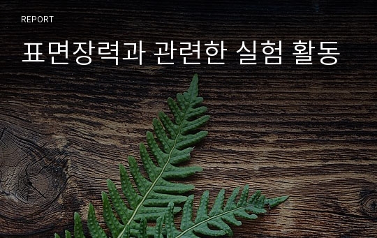 표면장력과 관련한 실험 활동