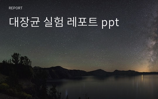 대장균 실험 레포트 ppt