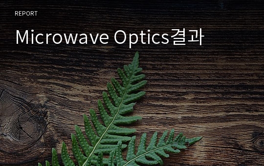 Microwave Optics결과