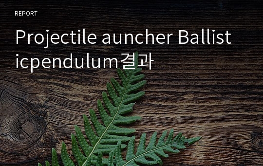 Projectile auncher Ballisticpendulum결과