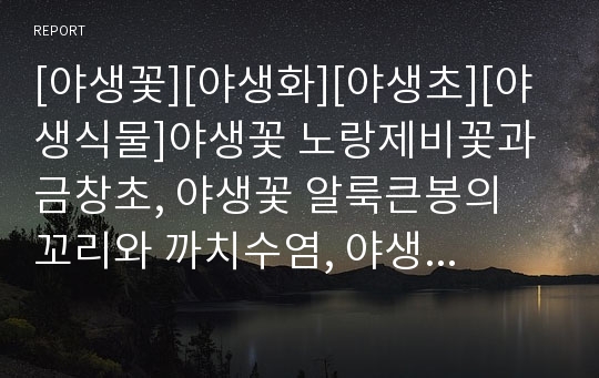 [야생꽃][야생화][야생초][야생식물]야생꽃 노랑제비꽃과 금창초, 야생꽃 알룩큰봉의 꼬리와 까치수염, 야생꽃 털중나리와 염주괴불주머니, 야생꽃 섬초롱꽃과 벌노랑이, 야생꽃 진달래와 나팔꽃(야생꽃, 야생화)