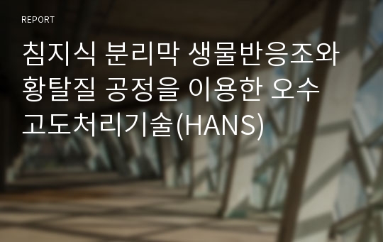 침지식 분리막 생물반응조와 황탈질 공정을 이용한 오수 고도처리기술(HANS)