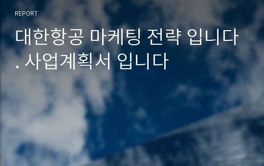 대한항공 마케팅 전략 입니다. 사업계획서 입니다