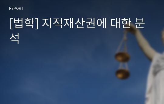 [법학] 지적재산권에 대한 분석