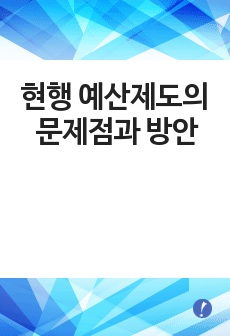 현행 예산제도의 문제점과 새로운 예산제도 방안의 모색