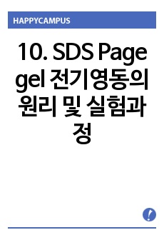 10. SDS Page gel 전기영동의 원리 및 실험과정
