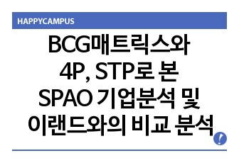 BCG매트릭스와 4P, STP로 본 SPAO 기업분석 및 경쟁업체 E-LAND와의 비교 분석