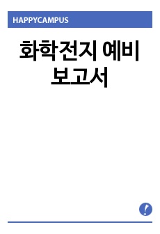 화학전지 예비보고서