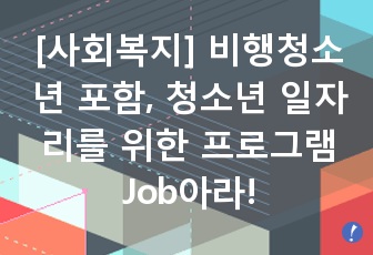 [사회복지] 비행청소년 포함, 청소년 일자리를 위한 프로그램 Job아라!