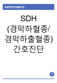 SDH(경막하혈종/경막하출혈종) 간호진단