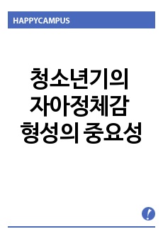 청소년기의 자아정체감 형성의 중요성에 대한 고찰