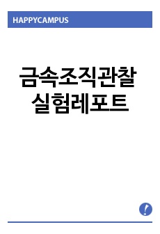 금속조직관찰 실험레포트