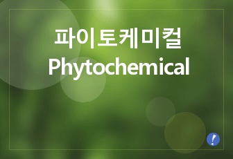 파이토케미컬/색깔별 파이토케미컬과 효능/파이토케미컬ppt/ 피토케미컬