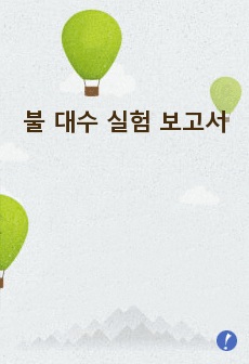 불 대수 실험 보고서