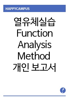 열유체실습 Function Analysis Method 개인 보고서 (성균관대)