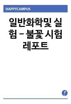 일반화학및 실험 - 불꽃 시험 레포트